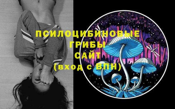 apvp Мегион