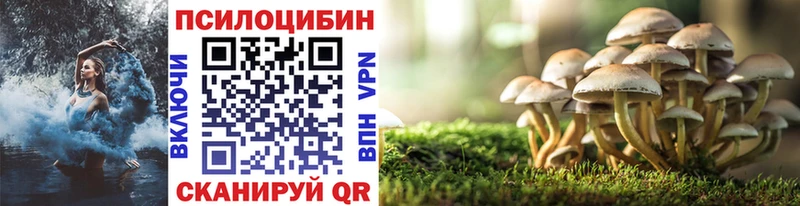 Псилоцибиновые грибы мицелий  Губкин 