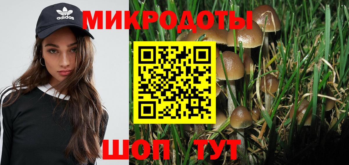 наркота  Вход с VPN  Псилоцибиновые грибы мицелий  Губкин  Галлюциногенные грибы ЛСД 