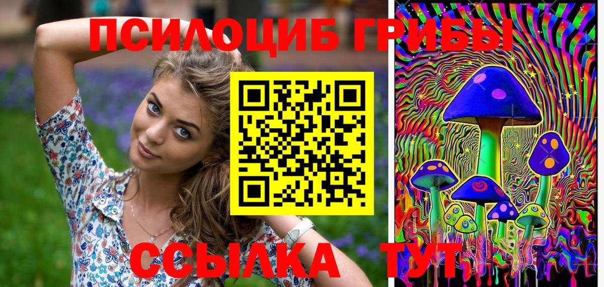 Псилоцибиновые грибы мухоморы Губкин