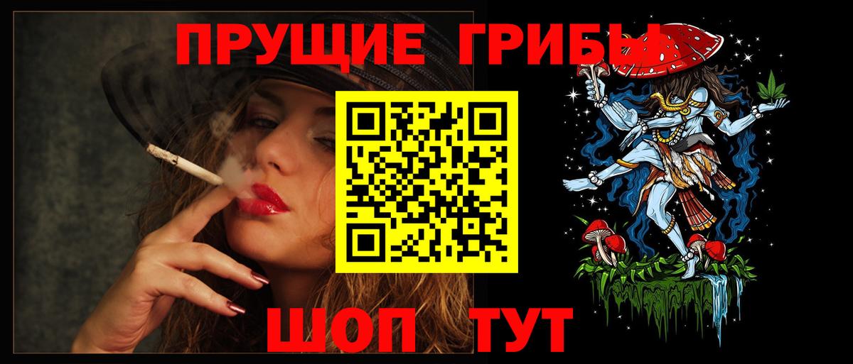 Галлюциногенные грибы Psilocybe  Губкин 