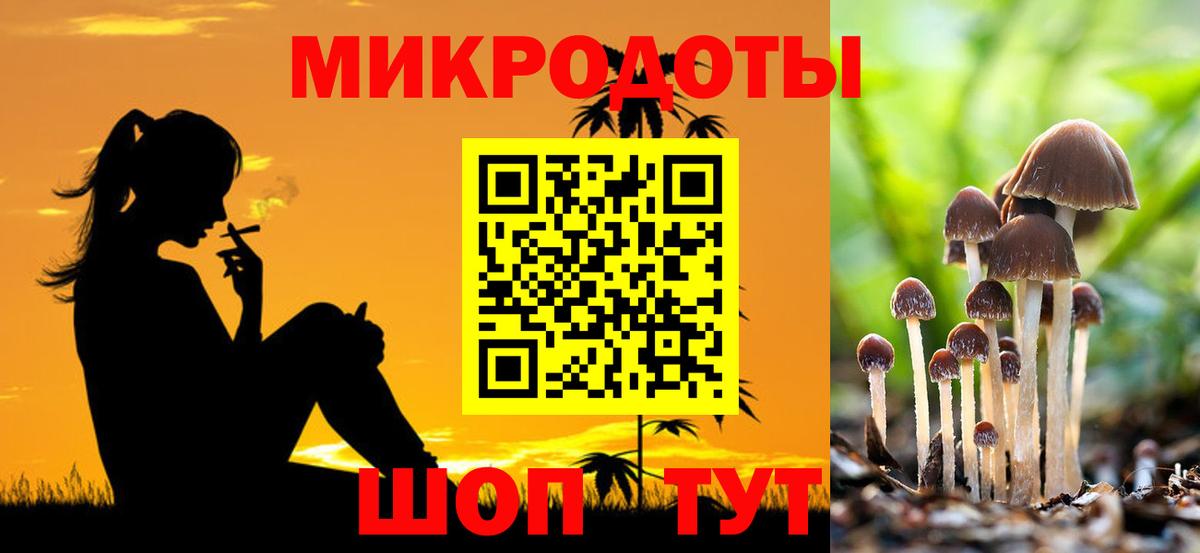 Псилоцибиновые грибы прущие грибы Губкин